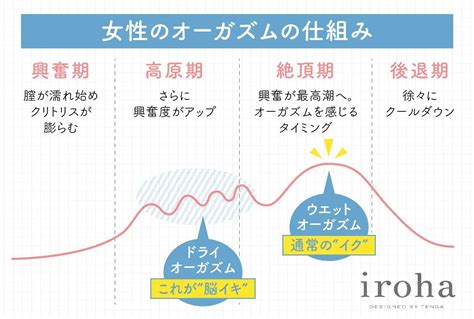 オーガズム 尿意|女性のオーガズムの仕組みを徹底解説